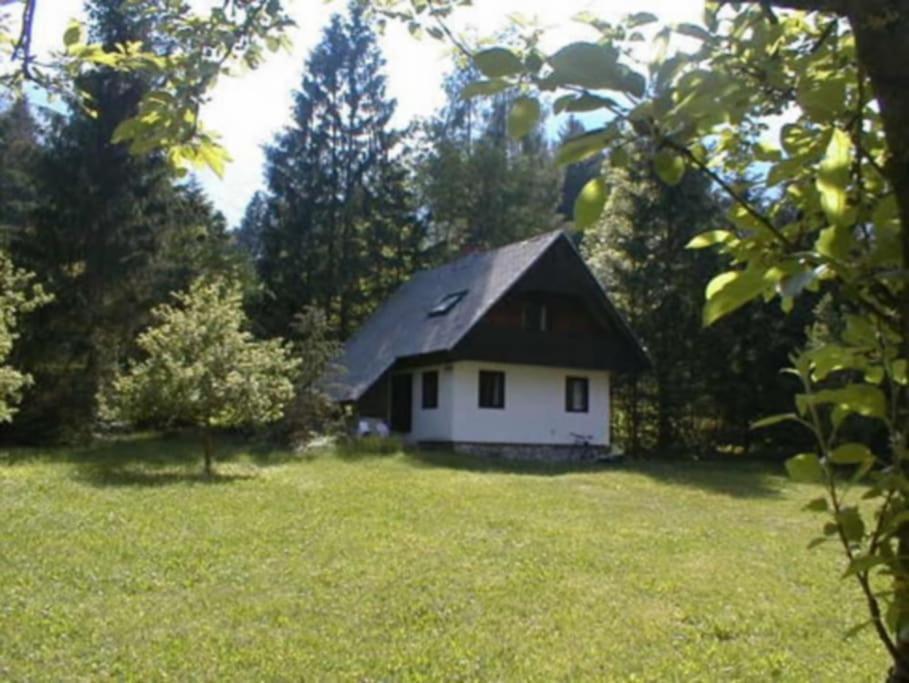 Apartment Lake Bohinj No. 5 Exterior photo
