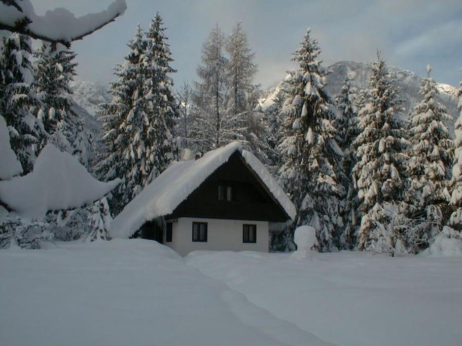 Apartment Lake Bohinj No. 5 Exterior photo